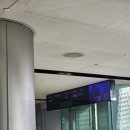 봄의손메 | 제주도 3박 4일 혼자 떠난 뚜벅이 여행기 ✈️