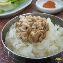 중앙집 티스토리
