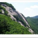 제 32차 3월 8일 정기산행 충주 신선봉(967M) 이미지