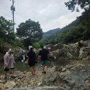 청강수계곡폭포가든 | 대전 근교 계곡 추천, "청강수폭포가든" 반려견 동반 후기 및 참고사항