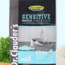 쌀강아지 이미지