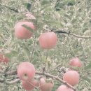 운산농장 이미지