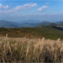 삼거리상회 이미지