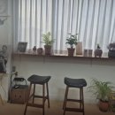 오리나무길 이미지