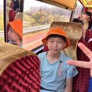 경주국가대표태권도장 이미지