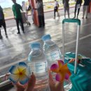 슬림관광호텔 | 사이판 켄싱턴 호텔 문나이트 포토 프로모션 , 슬림 인클루시브 이용 후기 (사이판 플렉스 버스 시간...