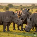 끼리끼리 이미지