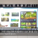 하이존 이미지