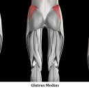 정성PT&운동센터 이미지