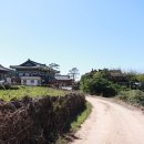 도노미민박 | 제주올레길15코스 (한림-고내) 중반코스 후기