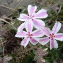 현주네농장 이미지