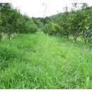 시목농장 이미지