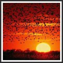 세상만사 이미지