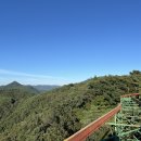 성수행정사사무소 이미지