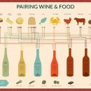 Pairing Wine & Food 이미지