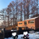 양평 주주송 독채펜션 이미지