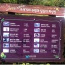 동승회센타 이미지