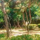 왕길근린공원 이미지