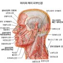 통증 알아보기 이미지