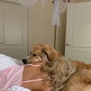 하나동물병원 이미지