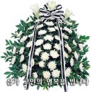 김*종 이미지
