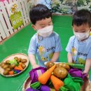 주호농장 Daum카페