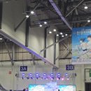 성우하이텍 | 제24회 성우하이텍배 KNN 환경마라톤 - 후기