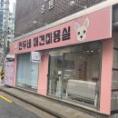 만두네 애견미용실 이미지