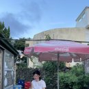 하도리 동동동 이미지