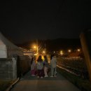 월오포레스트 이미지