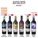 머스트화이트1동 | [이색체험] 성수 뚝도시장 와인바 한낮의밤 와인시음회 후기 (재방문)