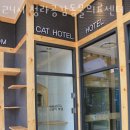 청라 공감 동물의료센터 이미지