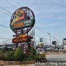 파타야인근 시라차 타이거토피아 (Tiger Topia Zoo) 후기 (호랑이, 사자와 사진찍기)