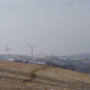 낭만목장 이미지