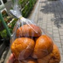 구름쌀디저트