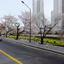 연제구-142 이미지