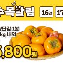 수목할인마트 이미지