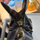 영등소머리곰탕 | 10월일상2