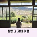 18 | 하동 매담제다원 녹차밭 힐링