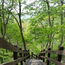 병암산장 이미지