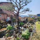 다래 전통찻집 이미지