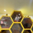 숲속의 이글루 | 아이 셋 이상이면 무료! 남양주 어린이 비전센터 “설레는 숲속여행”&amp;“즐거운 예술여행” 완벽 정복