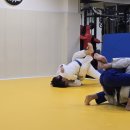 영도 오쓰짐 이미지