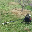 포포농장 이미지