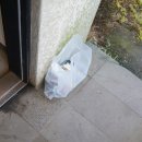 제주올리브스파앤풀빌라 이미지