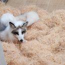 전주동물원 이미지