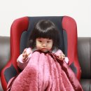 <b>스와들</b><b>디자인</b>의 블랭킷.