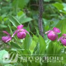 한라전설(주) 이미지