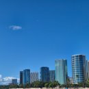 임부장 치킨 | 신혼여행 3일차! 허츠렌트카 대여/하와이 운전 후기/샥스코브/알라모아나비치/야드하우스!