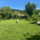 삼형제농장 이미지